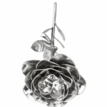 Rosa - Imagen 2